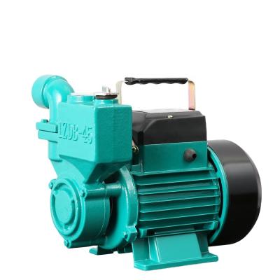 China Small 0.5 Hp 0.75hp 1.0hp IZDB Brass Impeller Electric High Pressure Clean Water Self-Priming Outdoor Pumps For Irrigation And Agriculture for sale