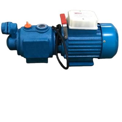 China ZGD1100 Irrigation and Agriculture Self Priming Screw Water Pump in Nepal for sale