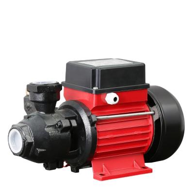 China Horizontal home use surface 1 inch 0.5hp water pump electric features from irrigation and agriculture china best brand for sale