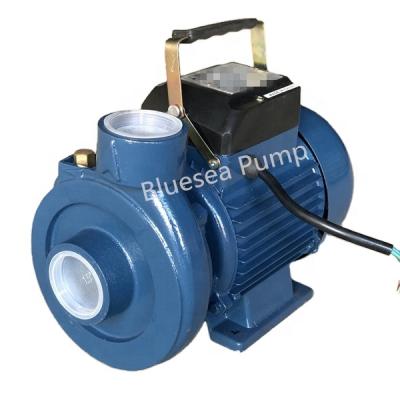 China Irrigation and Agriculture Vietnam DK Series Horizontal Centrifugal Agriculture 0.5HP-1.0HP Water Pump for sale