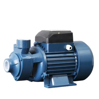 China High Quality Low Noise Irrigation And Agriculture QB60 Peripheral Water Pump Merchants In Kenya for sale