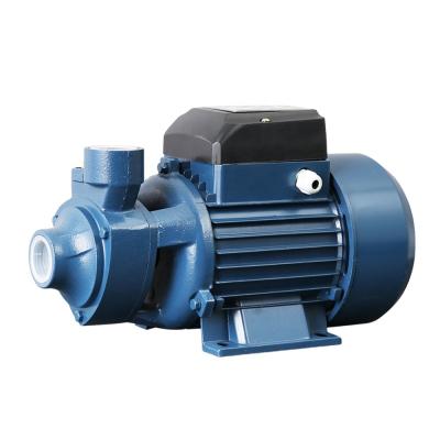 China Hot Selling Cheap Irrigation And Agriculture Tanzania Low Pressure Rotor Stator 50mm Electric Small Water Pump for sale