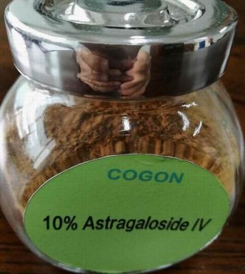 China HPLC-ELSD Test Astragalus Extract Powder 10% Astragaloside IV 1.6%Cycloastragenol for sale