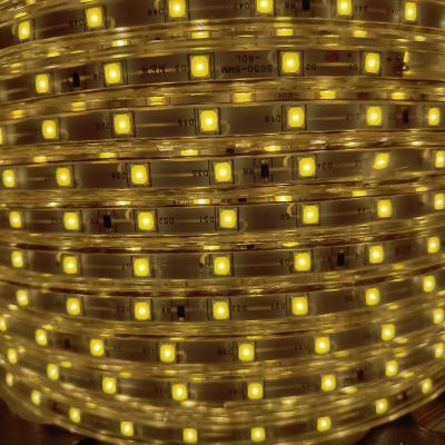 China LANDSCAPE High Brightness 100m Per Roll Outdoor Decoration Waterproof SMD 4040 60 LED Led Strip Lighting for sale