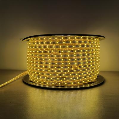 China LANDSCAPE IP65 Waterproof Outdoor PVC SMD4040 220V LED Sequential Flexible Strip Lighting for sale