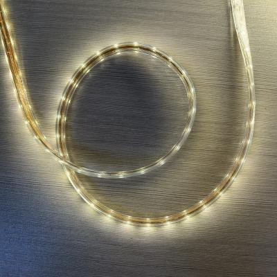 China LANDSCAPE Tira de luces LED 220V Direct Input Waterproof 100m SMD 4040 W/WW/B SMD LED Strip Light for sale