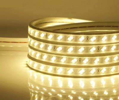 China LANDSCAPE Rope 220-240V Garden 3528 Low Power Consumption Led Rope Light Holiday Lighting for sale