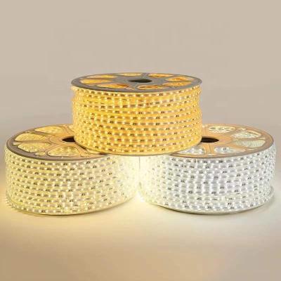 China Outdoor Flexible LANDSCAPE LED Strip Lights 120 LED 5730 SMD Warm White Decoration Strip Lighting for sale