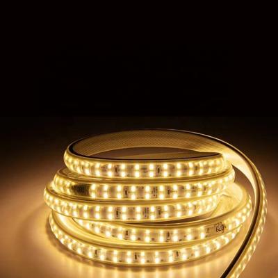 China LANDSCAPE Customization Surprise Price IP65 SMD 5730 120leds/m Outdoor Waterproof AC 220V Strip Led Strip Light for sale