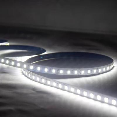 China Indoor/outdoor led flexible strip light 220V SMD2835 led strip light/led strip light for sale