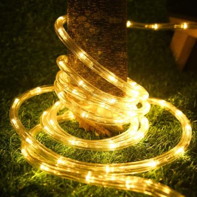 China AC220V LANDSCAPE factory price led decorative garden tree lights LED rope lamp for sale