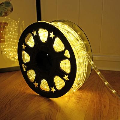 China LANDSCAPE luz de corda led color changing 100M Led Outdoor Rope light for wholesale for sale