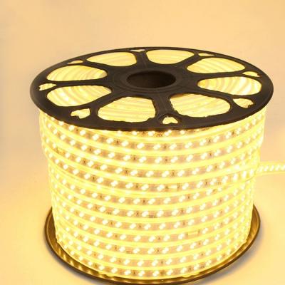 China Residential Manufacture 3000k 6500k DC220V SMD5730 LED Strip White Warm White LED Strip Light for sale