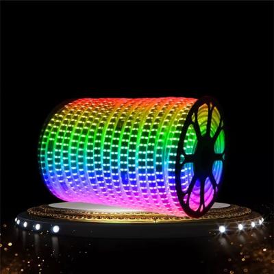 China Low Residential Proce Hidden Style Smart Led Grow Light Strip 10m LED Strip Lights for sale