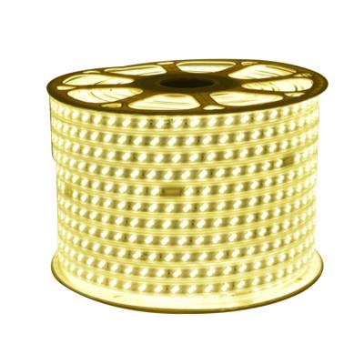 China Residential Low Price Warm White Color 220V Outdoor Side Led Strip Light for sale