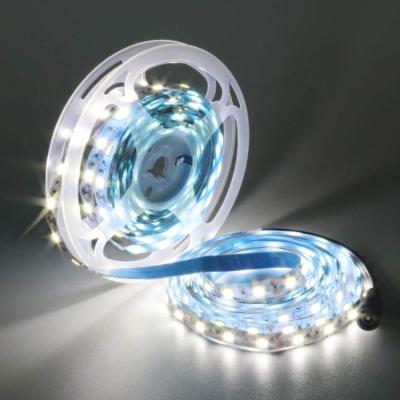 China Residential Cool White Non-waterproof Flexible LED Strip Light 6000-6500K 5050 12V LED Strip Light For Home for sale