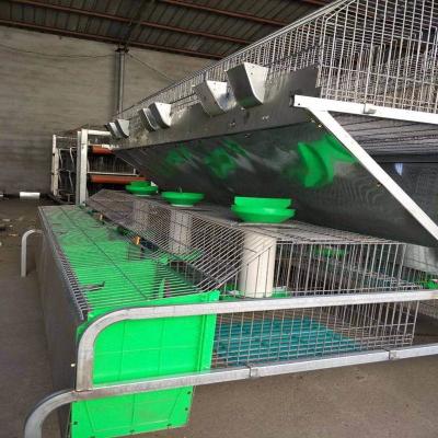 China Farms rabbit cage on the farm for sale