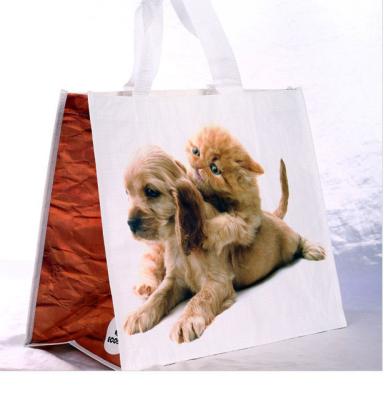 China Environmental Protection Handled Shopping Bag, Cartoon Nonwoven Bag, Custom Printed LOGO for sale