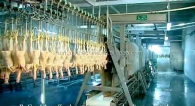 China Complete set of chicken slaughter machine line POULTRY for sale