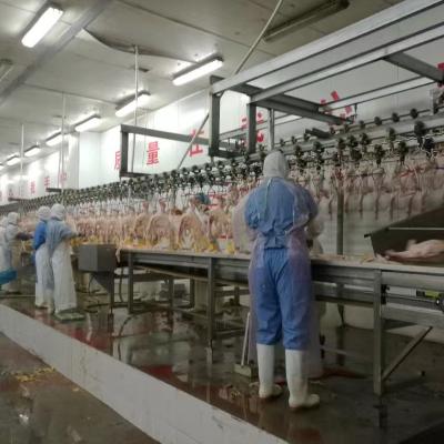 China Poultry Slaughterhouse Equipment Halal Meat Processing Plants Good Quality Complete Set for sale