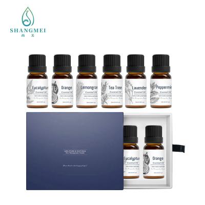 China ISO22716 Pure Nature Essential Oils Eucalyptus Lavender Aromatherapy Oils Gift Set for sale