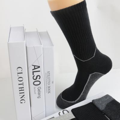 China Terry Customization Winter Spring Long Factory Combed Cotton Cushioned QUICK DRY Heated Socks For Men for sale