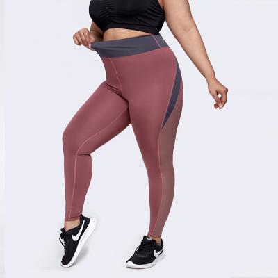 China Antibacterial Mesh Buttocks Lift Exercise Quilting Plus Size Quick Dry Pants for sale