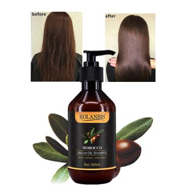 China Loss Prevention Moisturizing Organic Shampoo Argan Oil Sulfate Free For All Type Hair Care Sulfate Free Best OEM for sale