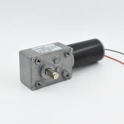 China Low RPM 300 RPM Custom High Torque High Torque Custom 58*40mm Micro DC Motor 5v 12v 24v 24 Mini DC Worm Gear Motor CE Rohs Proof 5Nm torque 50kgcm drips for sale