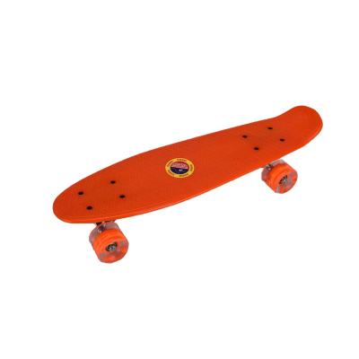 China Hot Sales Child 22 Inch Fish Board Free Skate Board Kids Adult Plastic Skateboard for sale