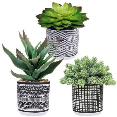 China The Wholesale Plastic Fake Small Mini Potted Desk Little Succulent Factory direct supply durable artificial plant in the pot for sale