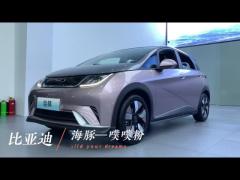 401km BYD Dolphin Electric Hybrid Cars EV Sedans 2021