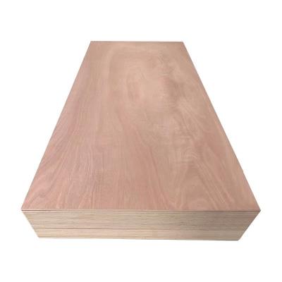 China High Grade Environmental Protection Plywood E1 E0 Plywood Panels Melamine Veneer Modern Artificial Poplar Veneer White Graphic Design for sale