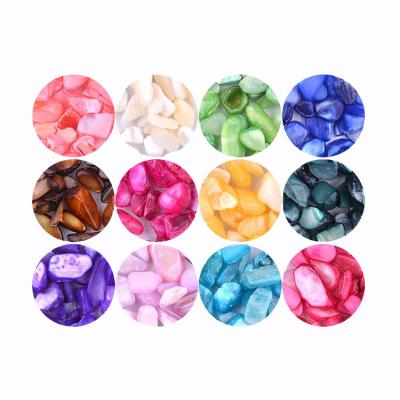 China Finger Nail Art DIY Design Crushed Shell Seashell Set 3D Nail Glitter Ocean Pieces Decoration 12 Colors for sale