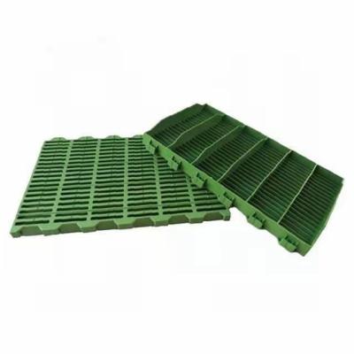 China Livestock Farm China Pig Slat Floor Easy Cleaning Plastic Pig Slat Flooring for sale