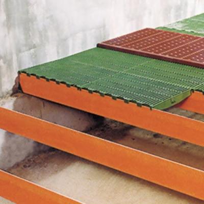 China Eco - Friendly Plastic Slat Flooring For Pig Farm Equipment Flooring Plastic For Pig for sale