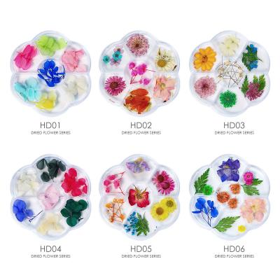 China Durable Hot Selling Real Flowers Nails Charm Decoration 3D Dried Flower Nail Art Dry Flowers for sale