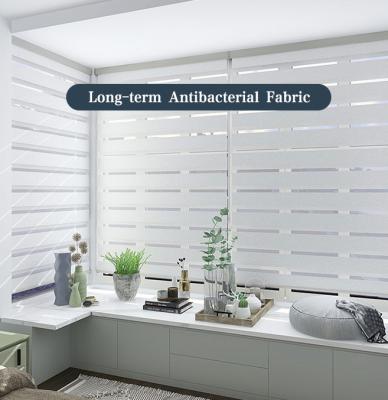 China Manufacturer's Minimalist Electric Curtains Smart Blinds Waterproof Automatic Zebra Shades Blind Windows Shading Blackout Roller Blinds for sale