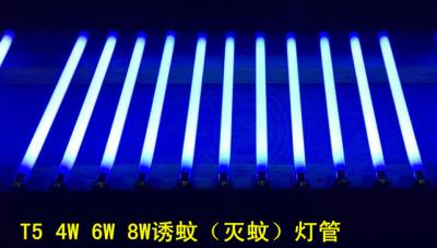 China High Quality 4W 6W 8W UV Tube Mosquito Killer Lamp T5 for sale