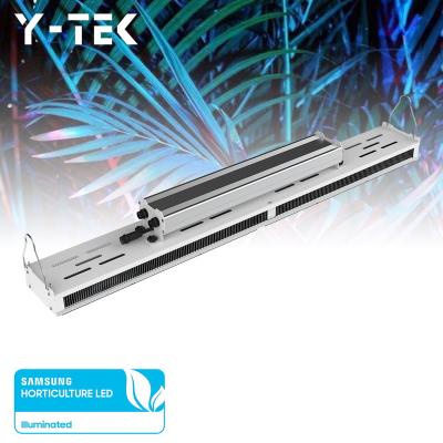 China Seed Starting 300 Watt 3X3 Indoor Medicinal Plant IR UV Bar Led To Grow Light For Flower for sale