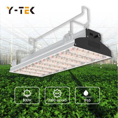 China Seed Starting Ytek HPS Greenhouse Ip65 Samsung 301B Full Spectrum Grow Lamp Led For Growing Hydroponic Light Bars for sale