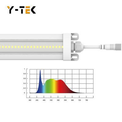 China Seed starting Y-Tek hot sale 50w ip65 full dasiy string waterproof spectrum led grow light wholesale for vegetable house indoor plants for sale