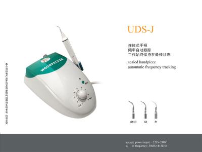 China Dental Ultrasonic Scaler UDS-J with Sealed Handpiece, Use For Tooth Cleaning , Dental Cleaning in Dental Clinic for sale