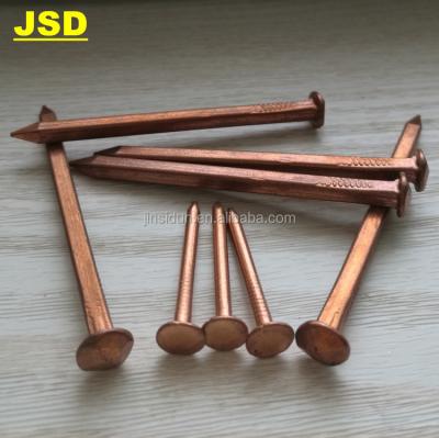 China Copper Square Boat Nails Steel Squre Nails//Boat Nails//Square Boat Nails for sale