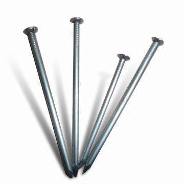 China Steek Steel Stainless Common Nails for sale