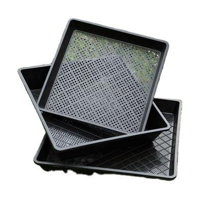 China Cultivate seedlings stand up irrigation seed planting germinate seedling tray planting trays hole tray for sale