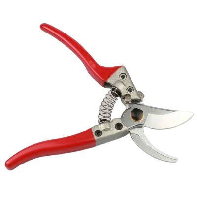 China Home Pruning Fruit Tree Pruning Scissors Gardening Tools Stainless Steel Branch Pruning for sale