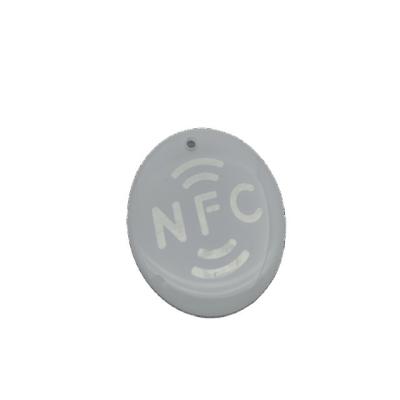 China Low Cost Factory Price Waterproof Smart Epoxy Ring Tag Washable Waterproof/Waterproof Nfc Tag for sale