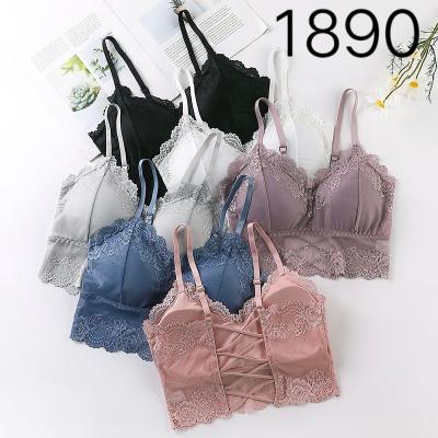 China Hot Selling Niche Anti-Shrink Trend Girl Beauty Back Camisole With Chest Protector Chest Wrap Wireless Lift Up Bra Tank Top Tube Lace Top Bra for sale