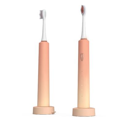 China Sonic Electric Toothbrush Ultrasonic Adult Electric Toothbrush Battery Operated Rechargeable Tooth Cleaner Brush Adult Price for sale